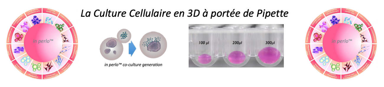 Culture cellulaire 3D Sample-2